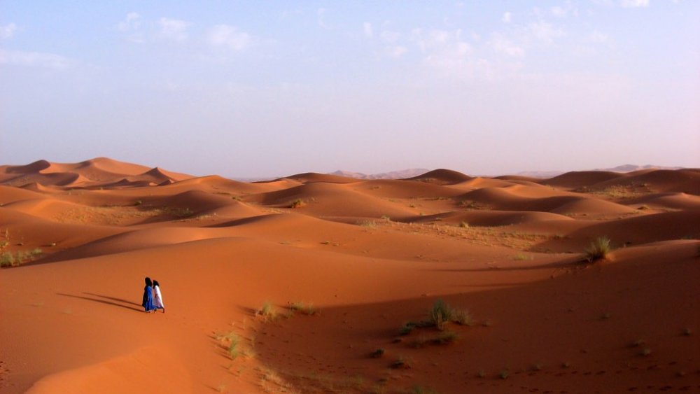 الصحراء الكبرى Sahara Desert، شمال أفريقيا
